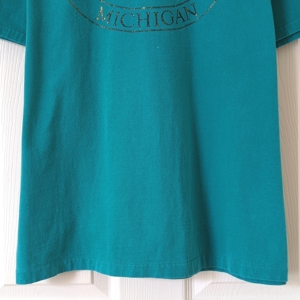 Hanes 90's Vintage Up North Michigan Graphic Short Sleeve Crewneck T-shirt Teal - Picture 6 of 9
